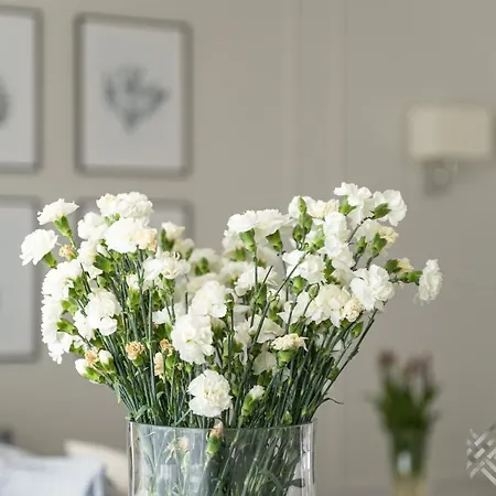 Klw Platan 10 - Free Parking アパート *