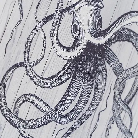 Klw Platan 10 - Free Parking シフィノウイシチェ