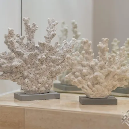 Klw Platan 10 - Free Parking アパート シフィノウイシチェ