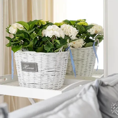 アパート Klw Platan 10 - Free Parking